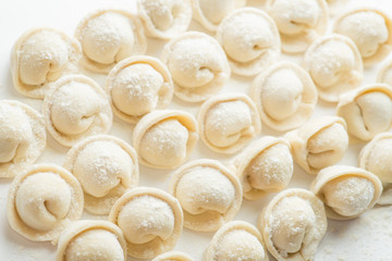  rows of frozen ravioli on a white background. Lots of Isolated Dumplings
