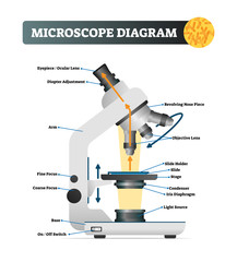 Microscope diagram vector illustration. Labeled zoom instrument structure.