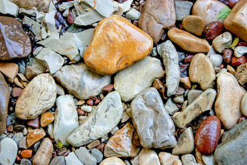Pebbles dry. Pebble and colored pebbles. Smooth stone and green twig illuminated by the sun. Top view, close-up.