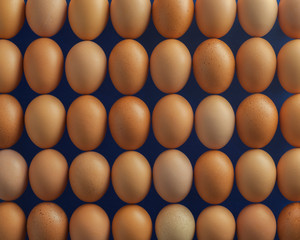 Eggs