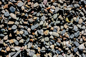 Pebbles dry. Pebble and colored pebbles. 