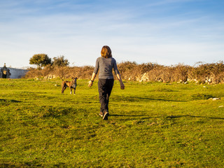 An adult woman playing with a young dog of the American staffordshire breed in countryside in...