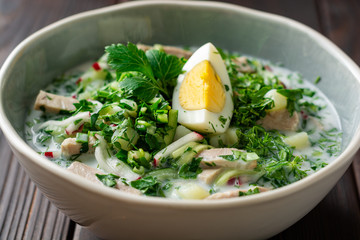 Traditional Russian summer cold soup okroshka with kefir in bowl on dark wooden background. Selective focus.