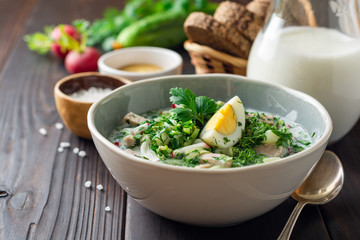 Traditional Russian summer cold soup okroshka with kefir in bowl on dark wooden background. Selective focus.