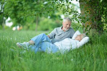 Naklejka na ściany i meble Nice mature couple sitting on green grass