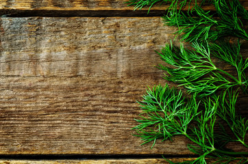 Fototapeta premium Fresh dill leaves on a dark wood background