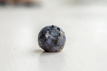 Mold on Blueberry 