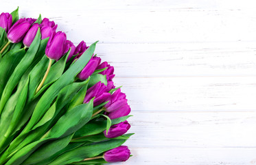 Beautiful purple (violet) tulips bouquet on white wooden background with copy space. Greeting card.