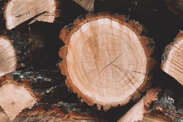 Cross section of the dry timber and stack of dry firewood wooden logs laid in a heap stored for winter heating season background. Wood texture of cut tree. Wooden background.
