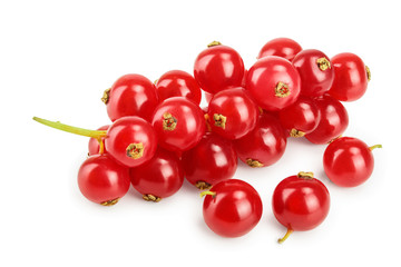 Red currant berry isolated on white background