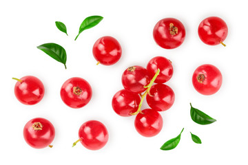 Red currant berry with leaf isolated on white background. Top view. Flat lay pattern