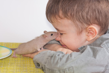 mouse and boy. love between people and pets. hide and