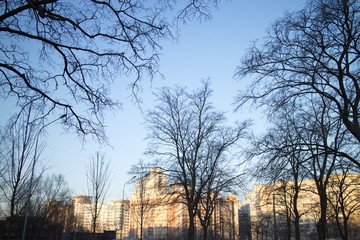 City quarter in spring morning