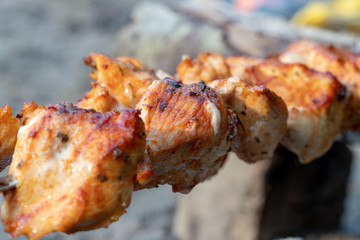 Grilling shashlik on barbecue grill