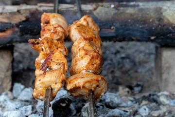 Grilling shashlik on barbecue grill