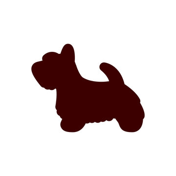 recommend clip art: Scottish Terrier Dog Icon Isolated On White Background