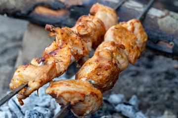 Grilling shashlik on barbecue grill