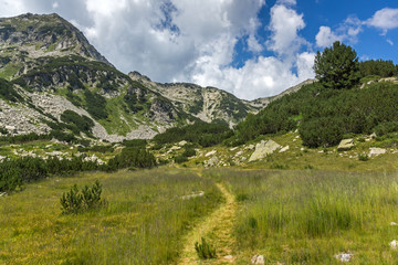 Fototapeta na wymiar Amazing Summer landscape of Pirin Mountain, Bulgaria