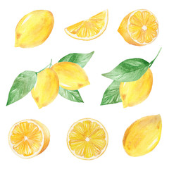 Watercolor hand painted collection of lemon. Can be used for printing and decoration.