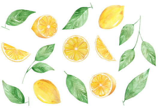 Watercolor hand painted collection of lemon. Can be used for printing and decoration.
