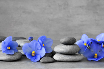 Fototapeta na wymiar Blue flower and stone zen spa on grey background