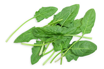 Obraz premium fresh spinach isolated on white background. Top view. Flat lay