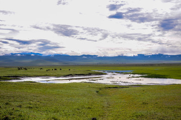 Fototapeta na wymiar Landscape in Ngorongoro