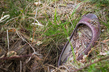 Schuh im Waldboden, verloren