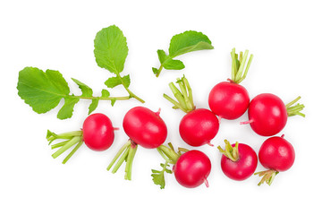 fresh whole radish isolated on white background. Top view