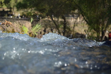 Agua