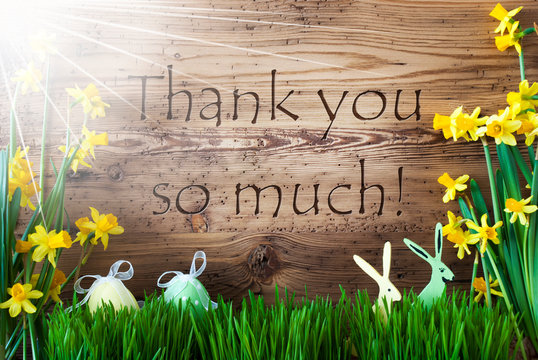 Sunny Easter Decoration, Gras, Text Thank You So Much