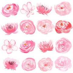 Set of hand painted watercolor flowers in pastel pink color.