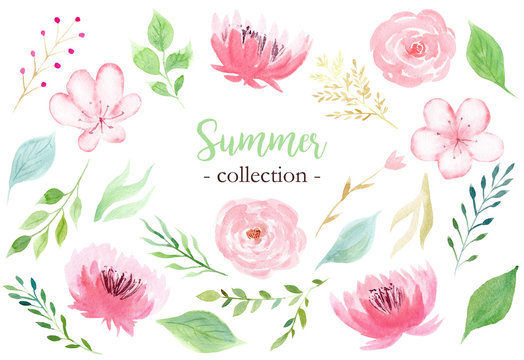 Set of hand painted watercolor flowers in pastel pink color.