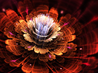 Red and orange fractal flower, digital artwork for creative graphic design - 260367759