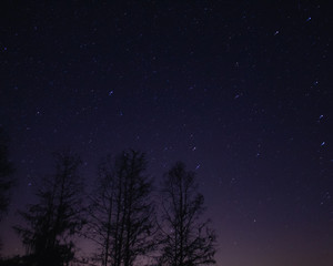 Night Sky & Stars 5