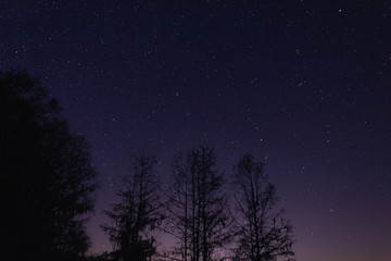 Fototapeta na wymiar Night Sky & Stars 