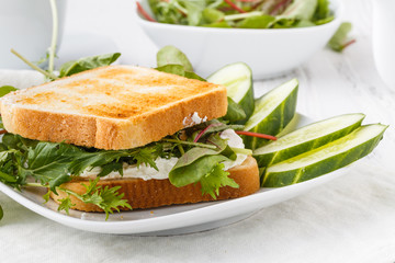 Fresh toast with cheese and herbs