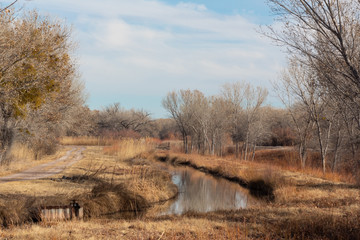 Bosque del Apache New Mexico, winter landscape with road and irrigation ditch, bare trees, horizontal aspect