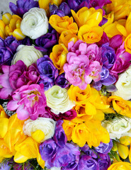 bouquet of colorful flowers