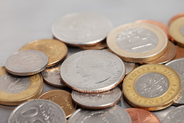Zloty, euro, dollar coins