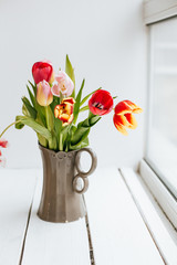 Close-up view of beautiful blooming red and pink tulip flowers in vase on grey