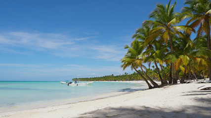 Maldivian beach with coconut palms on white sand. A white fishing boat is rocking on a turquoise sea wave off a tropical coast on a sunny summer day. Travel to tropical paradise. 