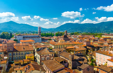 Fototapeta na wymiar Aerial top panoramic view of historical centre medieval town Lucca with old buildings, typical orange terracotta tiled roofs and mountain range, hills, blue sky white clouds background, Tuscany, Italy