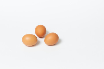 chicken egg on white background