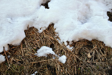 Landscape. Spring. Melting snow on the dry grass. View from above. Close-up.