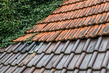 Bemoostes und zugewachsenes Dach am Altbau