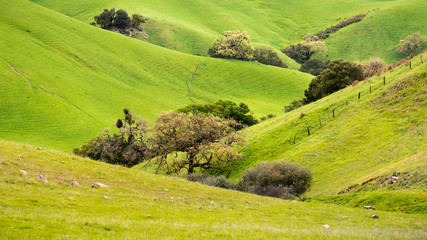 Fototapeta na wymiar Verdant valley in the mountains on south San Francisco bay area, San Jose, California