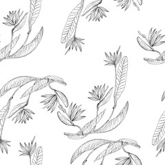 Strelizia tropical paradise pattern for print design. Floral seamless Flower background. Trendy spring blossom decoration.