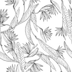 Strelizia tropical paradise pattern for print design. Floral seamless Flower background. Trendy spring blossom decoration.