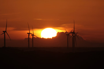Sustainable energy, sunset